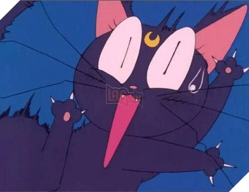 Anime: Top 5 những chú mèo cực nổi tiếng và gắn liền với tuổi thơ của nhiều người 4
