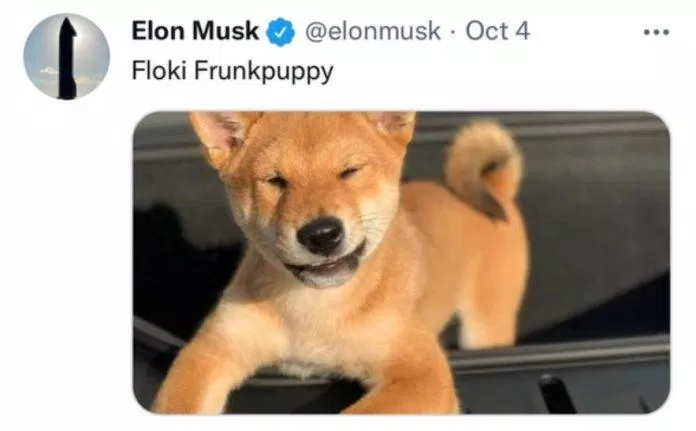 Dòng tweet được đăng tải đã gây xôn xao cộng đồng ủng hộ đồng xu con chó của Elon Musk (Nguồn: Internet).