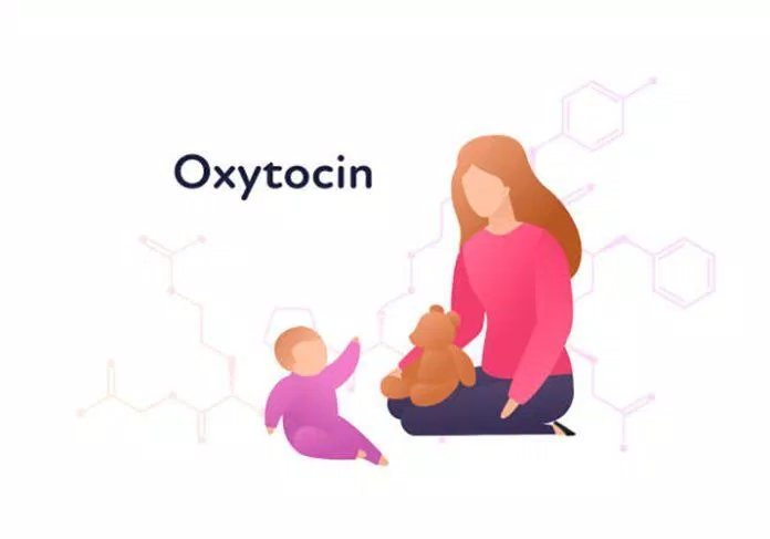 Hormone oxytocin (Nguồn: Internet)