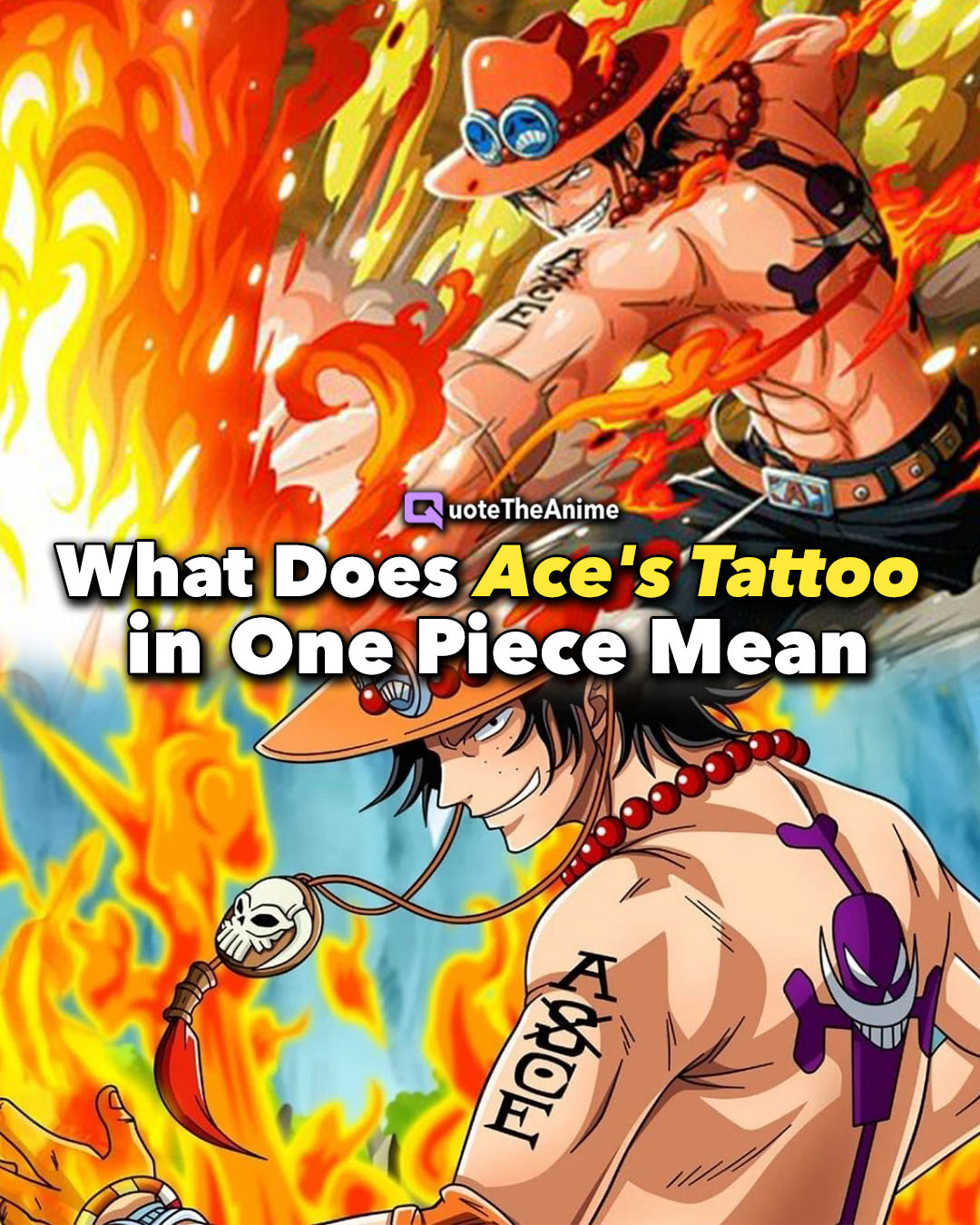 Ace là ai Tiểu sử năng lực sức mạnh  Hồ Sơ Nhân Vật  Nhân vật One Piece